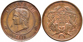 Alfonso XII (1874-1885). Medal. 1876. (Vives-846). Ae. 18,91 g. Battle of Jolo. By: Estruch F. 32 mm. AU. Est...50,00. 

Spanish Description: Alfons...