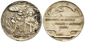 Medal. 1912. Gijón. 15,08 g. Exhibition of Plants, Flowers and Shrubs. White metal. Anonymous. 31 mm. Choice VF. Est...15,00. 

Spanish Description:...