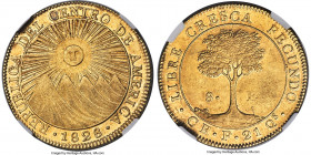 Central American Republic gold 8 Escudos 1828 CR-F MS61+ NGC, San Jose mint, KM17, Fr-1, Onza-1746 (Rare), Stickney-C102. Mintage: 5,302. A classic ra...