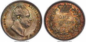 William IV Shilling 1836 MS66 PCGS, KM713, S-3835, ESC-2494. A scintillating premium Gem Mint State representative of the type, encountered this fine ...