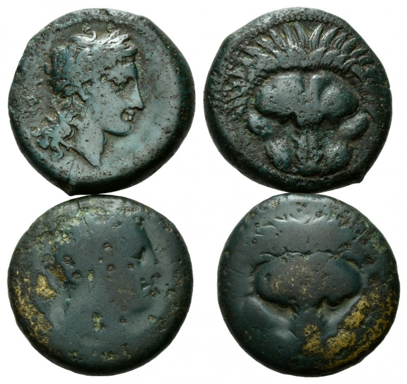ITALIEN, BRUTTIUM / Stadt Rhegion, AE 21 (350-270 v.Chr.). Löwenskalp v.vorn. Rs...