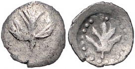 ITALIEN, SIZILIEN / Stadt Selinus, AR Litra (480-466 v.Chr.). Eppichblatt. Rs.Eppichblatt im Perlkreis. 0,41g.
ss
SNG Cop.595; BMC 2.139.17