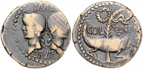 RÖMISCHES REICH, Augustus und Agrippa, 27-12 v.Chr., AE As, Gallien, Nemausus. IMP DIVI F. Büsten von Agrippa und Augustus. Rs.COL NEM. Krokodil. 12,8...