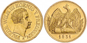 PREUSSEN, Friedrich Wilhelm III., 1797-1840, Doppelfriedrichs d'or 1831 A. 13,31g.
GOLD, attraktives Prachtex., vz-st
AKS 2; J.110; Frbg 2428