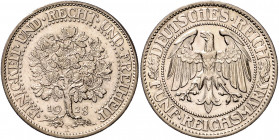 WEIMARER REPUBLIK, 1919-1933, 5 Reichsmark 1928 F. Eichbaum.
vz-st
J.331