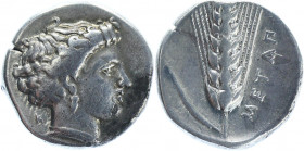 Ancient Greece Lucania, Metapontion AR Nomos 400 - 340 BC
Noe 441; SNG ANS 337; HN Italy 1522; Silver 7.58 g.; Obv.: Head of Demeter right, wearing b...