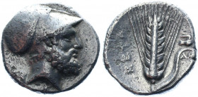 Ancient Greece Lucania, Metapontum AR Nomos 340 - 330 BC
HN Italy 1576; Johnston-Noe B.3.23; Silver 7.70 g.; Obv.: Head of Leucippus r., wearing Cori...