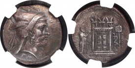 Persia AR Tetradrachm Bagadat 300th B.C. NGC Ch XF
Silver; Rev: Ahura-Mazda temple betw. Bagdat & standard; Ch XF Strike: 5/5; Surface: 3/5; Fine Sty...