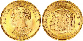 Chile 50 Peso 1974 So
KM# 169; Gold (0.900) 10.11 g., 24.5 mm; UNC