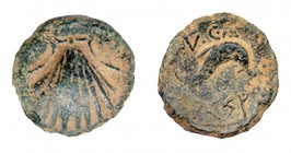 ARSE-SAGVNTVM. Cuarto. A/ Venera. R/ Delfín a der., encima: P.V.C(A), debajo, sobre línea, inscripción ibérica: ARSE. AE 2,58 g. CNH-56. ACIP-2001. CC...