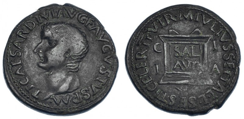 ILICI, Elche (Alicante). As. Tiberio. AE 13,9 g. I-1522. Golpecito en el anv. Pá...