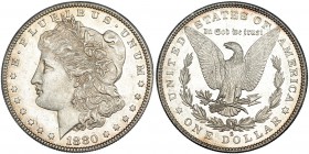 ESTADOS UNIDOS DE AMÉRICA. Dólar. 1880. S. KM-110. SC.