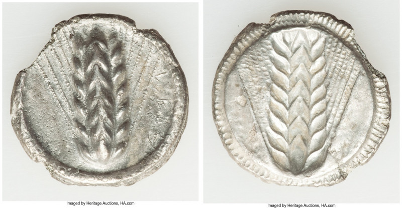 LUCANIA. Metapontum. Ca. 510-470 BC. AR stater (25mm, 6.82 gm, 12h). VF, edge ch...