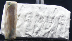 Moyen-Orient - Sceau cylindre en columelle (épopée de Gilgamesh) "axe central des gastéropodes" - 2500 / 1500 av. J.-C.
Grand sceau cylindre en colum...