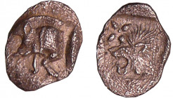 Mysie - Kyzikos - Trihémiobole (450-400 av. J.-C.)
A/ Protomé de sanglier à gauche, dans le champ droit, un poisson vertical.
R/ Tête de lion rugiss...