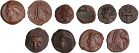 Siculo-Puniques - Carthage - Lot de 5 bronzes
TB à TTB