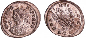 Probus - Aurélianus (278-280, Rome)
A/ IMP PROBVS P F AVG Buste radié à gauche, avec le manteau impérial, tenant un sceptre surmonté d'un aigle. 
R/...
