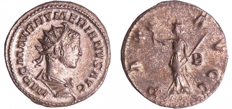 Numérien - Aurélianus (283-284, Lyon) - La Paix
A/ IMP C M AVR NVMERIANVS AVG B...