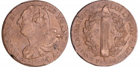 Constitution (1791-1792) - 2 sols au faisceau type FRANCOIS 1791 A (Paris)
TTB+
Ga.25
Cu ; 19.92 gr ; 34 mm