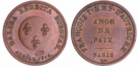 Louis XVIII (1815-1824) - Visite de l'empereur Autrichien François 1er - Module de la 2 francs 1814
GALLIA REDDITA EUROPAE 1814 Trois lis en cœur.
R...