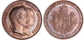 Napoléon III (1852-1870) - Médaille en argent Exposition universelle d'agriculture, d'industrie et de Beaux-Arts de Metz 1861
SPL
Page-Divo 449
Ar ...