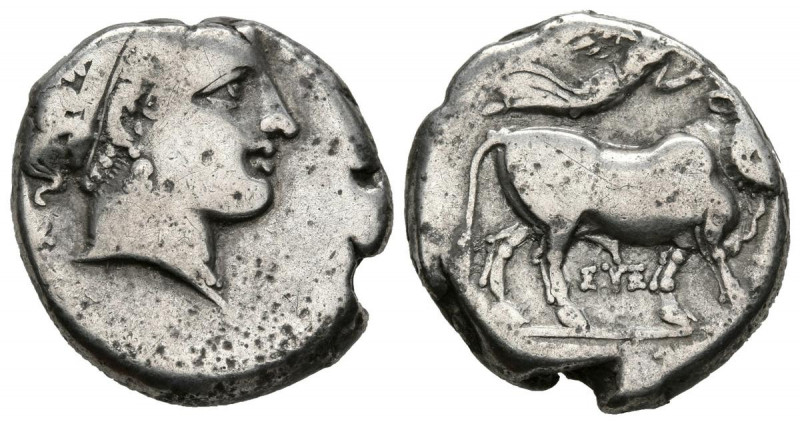CAMPANIA, Neapolis. Didracma. (Ar. 7,15g/19mm). 300 a.C. (HN Italy 577). Anv: Ca...