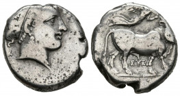 CAMPANIA, Neapolis. Didracma. (Ar. 7,15g/19mm). 300 a.C. (HN Italy 577). Anv: Cabeza diademada femenina a derecha. Rev: Toro con cabeza humana barbada...
