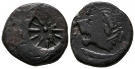 TRACIA, Pantikapaion. Ae20. (Ae. 6,36g/20mm). 400-300 a.C. (Seaby 1701). Anv: Cabeza del dios Pan a izquierda. Rev: Cabeza de león a izquierda, alrede...