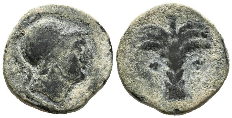 CARTAGONOVA (Cartagena, Murcia). Calco. (Ae. 6,38g/21mm). 220-215 a.C. (FAB-518)...