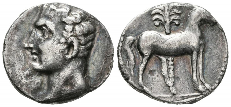 CARTAGONOVA (Cartagena, Murcia). Shekel. (Ar. 6,53g/22mm). 220-205 a.C. (FAB-535...