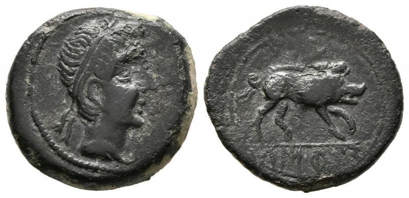 CASTULO (Cazlona, Jaém). Cuadrante. (Ae. 3,37g/17mm). 180 a.C. (FAB-733). Anv: C...