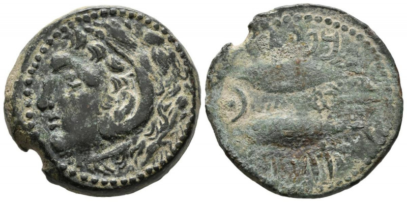 GADES (Cádiz). As. (Ae. 13,51g/27mm). 100-20 a.C. (FAB-1343). Anv: Cabeza de Hér...