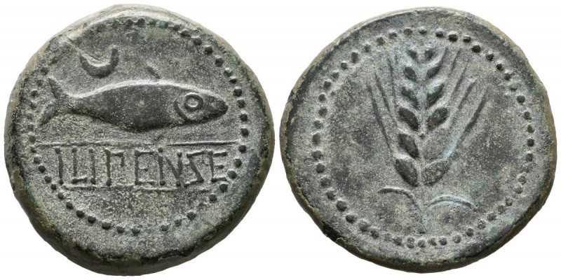 ILIPENSE (Alcalá del Río, Sevilla). As. (Ae. 20,82g/35mm). 120-20 a.C. (FAB-1531...