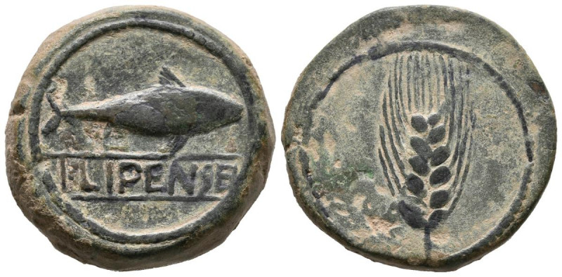 ILIPENSE (Alcalá del Río, Sevilla). Semis. (Ae. 17,32g/27mm). 120-20 a.C. (FAB-1...