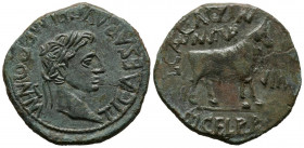 TURIASO (Tarazona, Zaragoza). As. (Ae. 12,67g/30mm). 14-36 d.C. (FAB-2454). Anv: Cabeza de Tiberio laureada a derecha, alrededor leyenda: TI CAESAR AV...