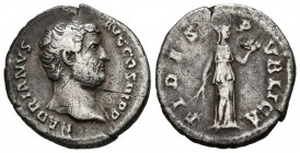 ADRIANO. Denario. (Ar. 2,70g/18mm). 136 d.C. Roma. (RIC 241Aa). Anv: Cabeza de Adriano a derecha, alrededor leyenda: HADRIANVS AVG COS III P P. Rev: F...