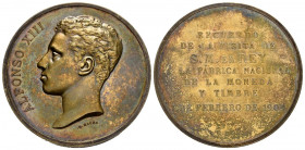 ALFONSO XIII (1885-1931). Visita de Alfonso XII a la Fábrica Nacional de Moneda y Timbre. (Ae. 57,45g/50mm). Bronce dorado. 1 de Febrero de 1904. Madr...