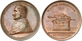 OLMÜTZ. Bistum. Maximilian II. Joseph von Somerau Beeckh, 1837-1853. 
Bronzemedaille 1837 (von J. Schön, 44,6 mm), auf seine Inthronisation. Brustbil...