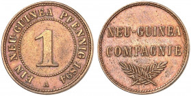 DEUTSCH - NEU - GUINEA. J. N 701, EPA DNG 1. 
1 Pfennig 1894 A.
ss+