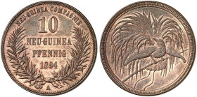 DEUTSCH - NEU - GUINEA. J. N 703, EPA DNG 3. 
10 Pfennig 1894 A.
vz