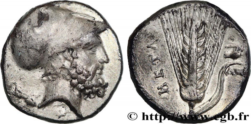 LUCANIA - METAPONTUM
Type : Nomos, statère ou didrachme 
Date : c. 340-330 AC. 
...