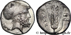LUCANIA - METAPONTUM
Type : Nomos, statère ou didrachme 
Date : c. 340-330 AC. 
Mint name / Town : Métaponte, Lucanie 
Metal : silver 
Diameter : 21  ...