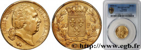 LOUIS XVIII
Type : 20 francs or Louis XVIII, tête nue 
Date : 1820 
Mint name / Town : Paris 
Quantity minted : 1316609 
Metal : gold 
Millesimal fine...