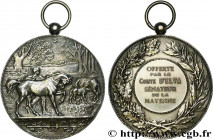 III REPUBLIC
Type : Médaille, Offerte par le Comte d’Elva 
Date : n.d. 
Metal : silver plated bronze 
Diameter : 76,5  mm
Engraver : DEGEORGE 1887 / D...