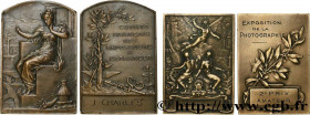III REPUBLIC
Type : Lot de 2 plaques, Expositions 
Date : n.d. 
Metal : bronze 
Diameter : 63  mm
Weight : 128,46  g.
Edge : lisse + triangle ou corne...
