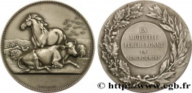 INSURANCES
Type : Médaille, Mutuelle percheronne 
Date : n.d. 
Metal : silver plated bronze 
Diameter : 57  mm
Engraver : Alphée Dubois (1831-1905) 
W...