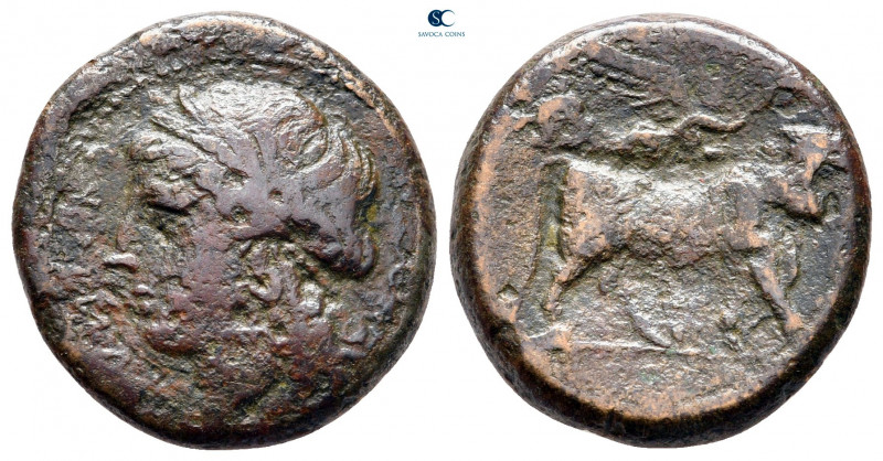Campania. Neapolis circa 250-200 BC. 
Bronze Æ

20 mm, ,74 g



nearly ve...