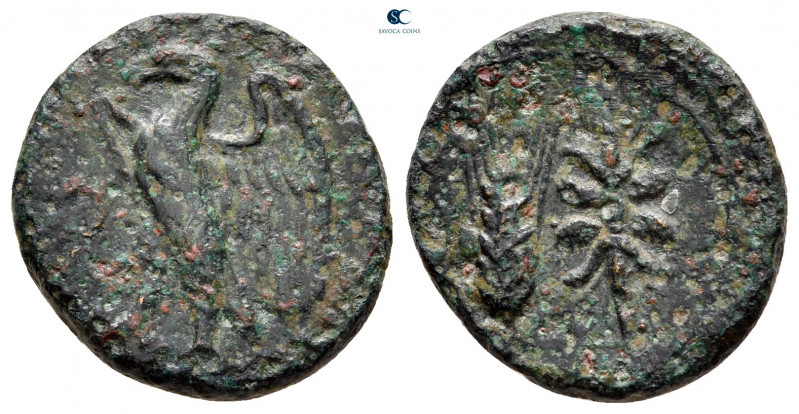 Lucania. Metapontion circa 300-250 BC. 
Bronze Æ

17 mm, 3,18 g



nearly...