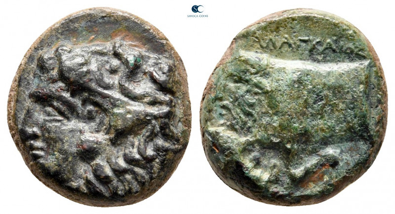 Sicily. Agyrium circa 420-405 BC. 
Tetras Æ

15 mm, 3,57 g



very fine