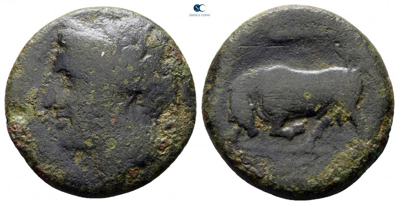 Sicily. Syracuse. Agathokles 317-289 BC. 
Bronze Æ

19 mm, 5,92 g



near...
